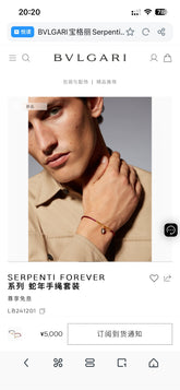 China Replica Bvlgari Bracelets 24usd Only